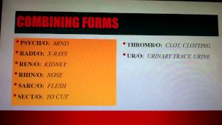 Medical Terminology Lesson 1 [upl. by Wolfgram]