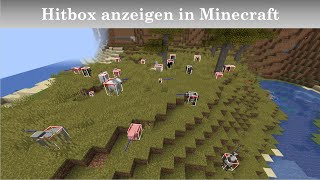 Hitbox anzeigen in Minecraft shorts [upl. by Smaoht55]