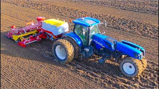 The Trike Tractor  Celeriac Harvest Ploughing amp Sowing  New Holland T7270  Pottinger Aerosem VT [upl. by Florie]