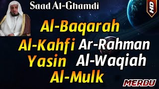 Surat Al Baqarah Al Kahfi Yasin Ar Rahman Al Waqiah Al Mulk By Saad AlGhamdi [upl. by End]