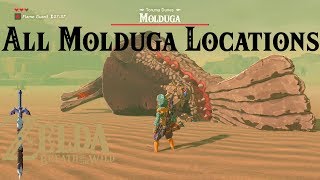 All Molduga Locations  The Legend of Zelda  Breath of the Wild [upl. by Socrates229]