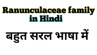 Family Ranunculaceae Buttercup family in Hindi Botany 1st paper BSc 2nd year [upl. by Yleak]