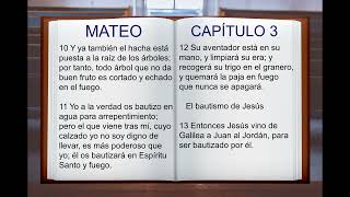 LA BIBLIA HABLADA quot SAN MATEO quot COMPLETO NUEVO TESTAMENTO [upl. by Kathie491]