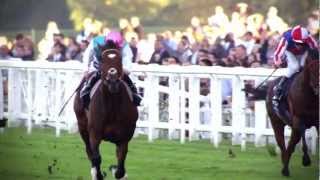 The Frankel Story  BBC Sport [upl. by Hampton]