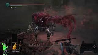 Slave knight gael no hit pb again [upl. by Ursola]