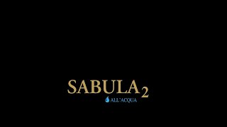 SABULA 2 VALPAINT  Official Video [upl. by Mahala434]