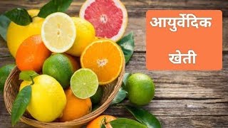 Citrus Fruits Ayurvedic Farming lemontree lemonfarming FSIAgroFatherOfAyurvedaFarming 🍋🍊🌱🙏🏻 [upl. by Nosahc148]