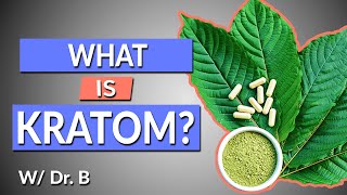 What is Kratom  Complete Drug History and Uses  W Dr B [upl. by Marlow]