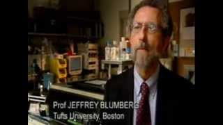 The Truth About Vitamins BBC FULL DOCUMENTARY [upl. by Nairoc]