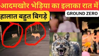 आदमखोर भेड़िया का इलाका रात में‼️Bahraich Bhediya Attack  Wolf Attack In UP [upl. by Sucramrej767]