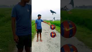 Crow pigeon peacock parrot vfx video viral short viral yt short [upl. by Allesor823]