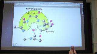 12 Kevin Aherns Biochemistry  Enzyme Mechanisms [upl. by Okier]