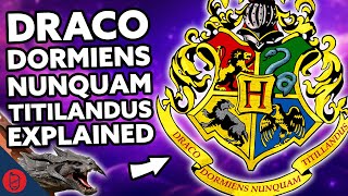 The TRUTH About Hogwarts Origins  Harry Potter Film Theory [upl. by Neal840]