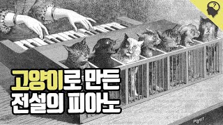 전설 속에 등장 하는 고양이로 만든 악기 고양이 피아노 이야기 [upl. by Higgins339]