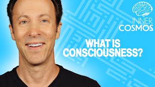 What is Consciousness  INNER COSMOS WITH DAVID EAGLEMAN [upl. by Anchie]