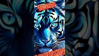 Cepat cepatan masuk team tigerking komen TIGERKING Jangan lupa kasih like dan subscribe [upl. by Yablon846]