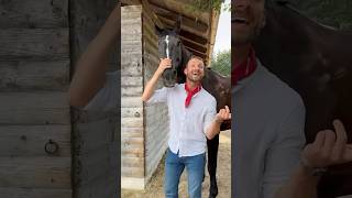 Erkennt ihr alle aus dem Video 🤠🐴 horse pferd pferde pferdecamp shorts equestrian [upl. by Nahtonoj457]