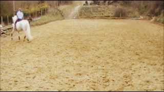 Dressage  Collected trot  levade  collected trot wmv [upl. by Adnor452]