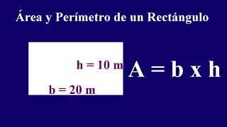 Área y perímetro de un rectángulo [upl. by Russom]