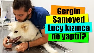 O DİŞLER NE 😱 Lucy Beni Isırmakla Tehdit Edince Ne Oldu 🤫 inanoğlu [upl. by Akemot675]