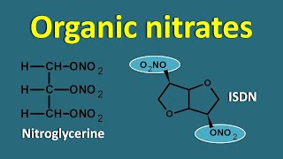 Organic nitrates  Mechanism side effects and drug interactions [upl. by Raynor]