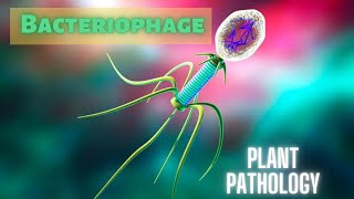 Bacteriophage Prions and Viroids  Agriculture Biology Class 12 Lesson 5 Plant Pathology [upl. by Kurland834]