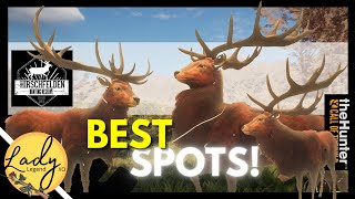 AMAZING Spots to Find RED DEER in Hirschfelden Hunter Call of the Wild [upl. by Amiaj]