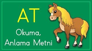 1 Sınıf Okuma Anlama Metni Etkinliği  Okuma Yazma Öğreniyorum  okuma metinleri [upl. by Deedahs]