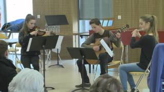 Journées de la musique de chambre au CHU de Poitiers 4 février 2015 [upl. by Mellen]