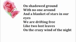 The Pointer Sisters  Slow Hand Lyrics [upl. by Jillane]