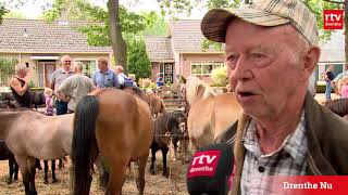 Paardenmarkt in Norg leeft op van 25 naar 350 paarden [upl. by Nylauqcaj]