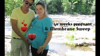 40 Weeks Pregnant  Belly  Membrane Sweep at Midwives [upl. by Terrence261]