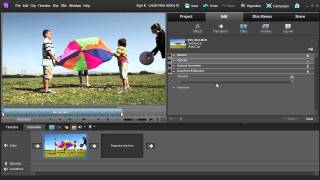 Premiere Elements 10 Get Perfect Color Throughout Your Movie [upl. by Assisi]