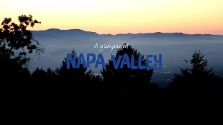 A glimpse of Napa Valley – visit the Napa Valley wineries and taste the amazing wine  SAS [upl. by Sil432]