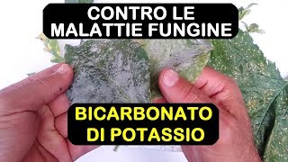 BICARBONATO DI POTASSIO ANTIFUNGINO [upl. by Isleana]