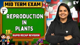 Reproduction in Plants  15 Minutes Rapid Recap Revision  Mid Term Exam  Class 7  CBSE [upl. by Ender807]