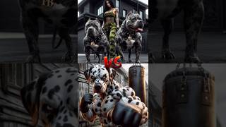 Doberman VS Pitbull VS Great din dog [upl. by Ardnaiek]