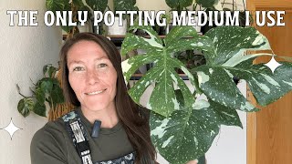 The Only Potting Medium I Use [upl. by Emerej864]