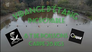 Vidange détang incroyable  8T de poissons et carpe jusquà 28kgs [upl. by Yorled652]