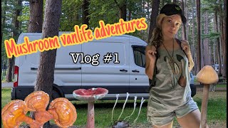 Mushroom Vanlife Adventures  Vlog 1 [upl. by Ataynek]