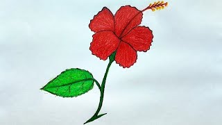 How to draw Hibiscus flower step by step for beginners  Hibiscus flower drawing easy [upl. by Oirramaj]