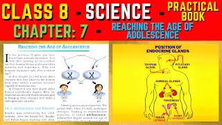 Class 8 Science Practical Book  Chapter 7 Reaching the Age of Adolescence  NCERT CLASS NOTES [upl. by Eniksre]