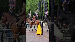 Trooping the Colour Rehearsal 2024 [upl. by Bertelli]