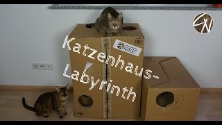 Katzenhaus aus Pappe basteln [upl. by Nahtanoy]