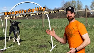 Hoopers Agility Basis  Wie lernt mein Hund durch Hoops zu laufen  Hoopers Hundesport [upl. by Fuller]