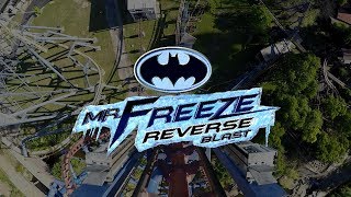 Mr Freeze at Six Flags Over Texas [upl. by Brok791]