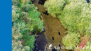 Chalkstream Fly Fishing At Langford On The Wylye [upl. by Ettelimay]