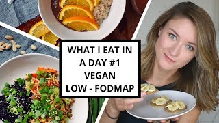 What I Eat In A Day 1  LowFODMAP amp VEGAN for IBS [upl. by Nylodnewg]