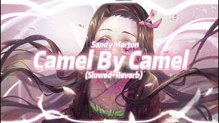 Sandy Marton  Camel by Camel Ankha Slowed  Reverb [upl. by Eelannej402]