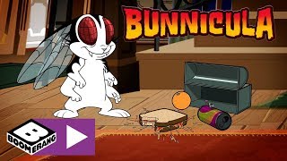 Bunnicula  The Fly Boys  Boomerang UK 🇬🇧 [upl. by Cathey908]